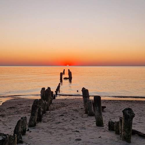 Photo #10620925