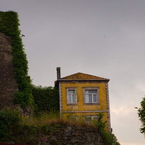 Photo #10620997