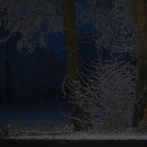Photo #10621168