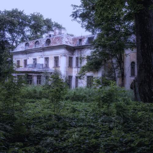 Photo #10621177