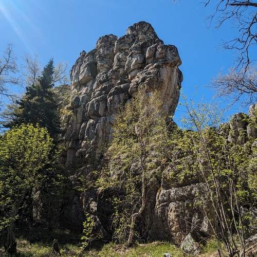 Photo #10621661