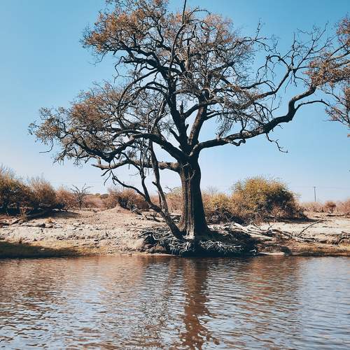 Photo #10621841