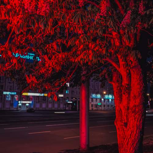 Photo #10622057