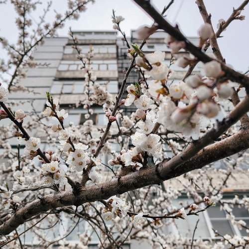 Photo #10622058