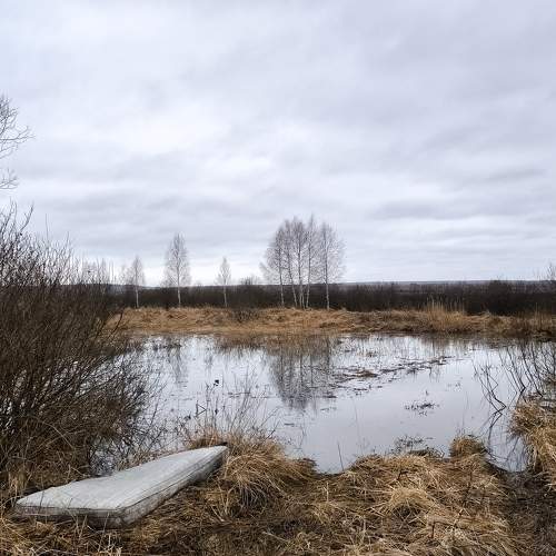 Photo #10622065