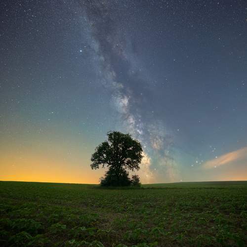 Фотография #10622135