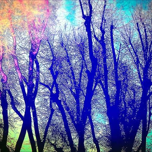 Photo #10622326