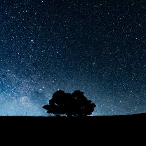 Photo #10622813