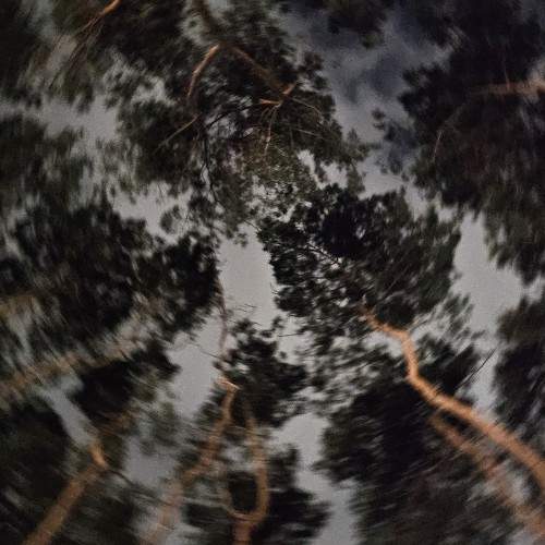 Photo #10622855