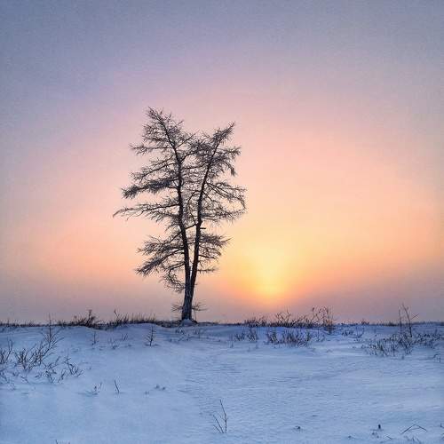 Photo #10622966