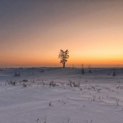 Photo #10622967