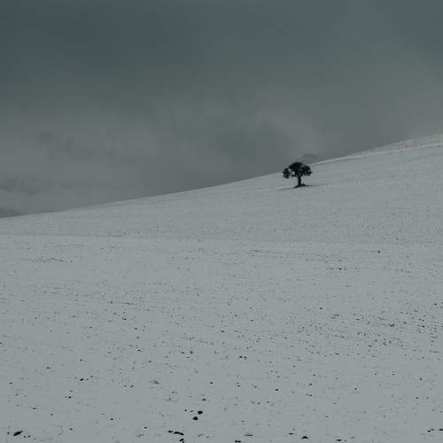 Photo #10622976