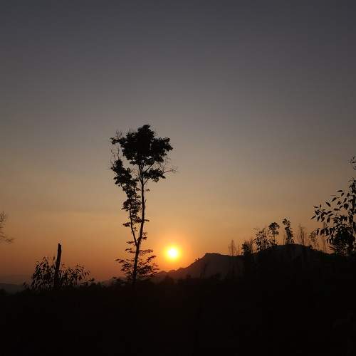 Photo #10623008