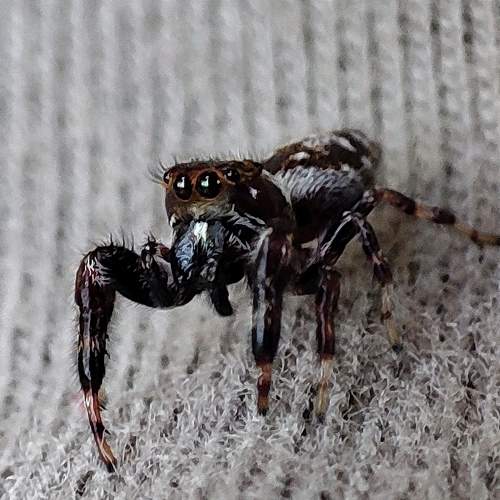 Photo #10623142