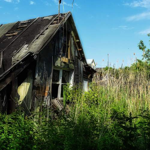 Photo #10623423