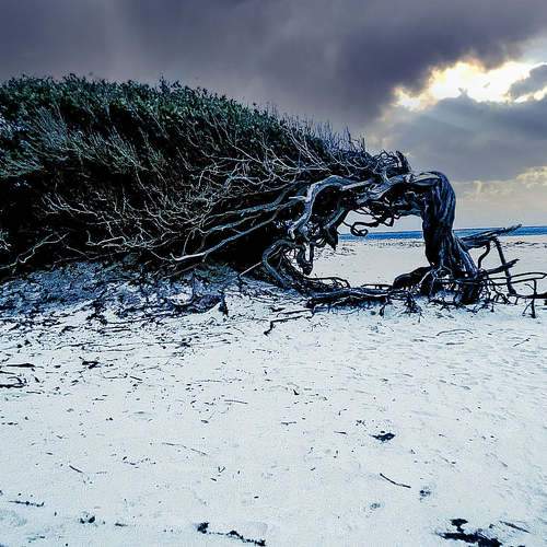 Photo #10623425