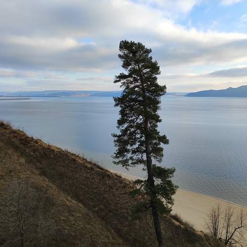 Photo #10623437