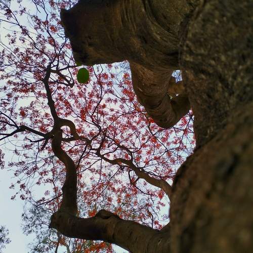 Photo #10623490