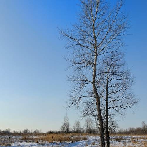 Photo #10623507