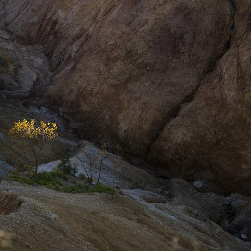 Photo #10623571