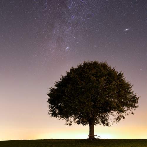 Photo #10623683