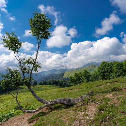 Photo #10623709