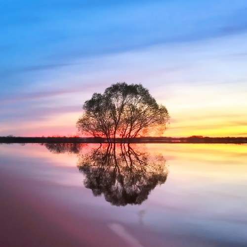 Photo #10623756