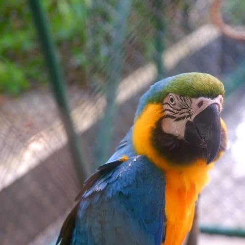 Photo #10623842