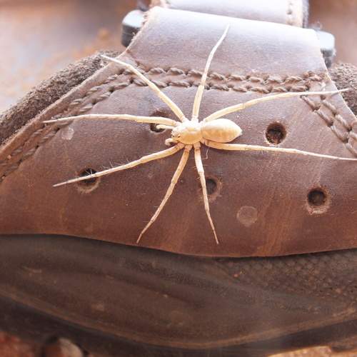 Photo #10623881