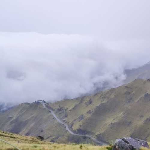 Photo #10624020