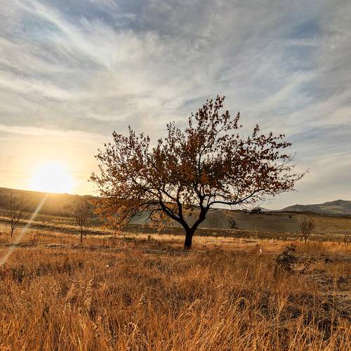 Photo #10624154