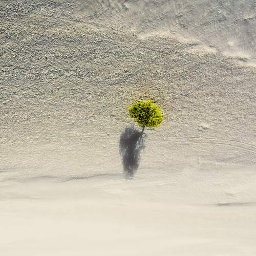 Solitude