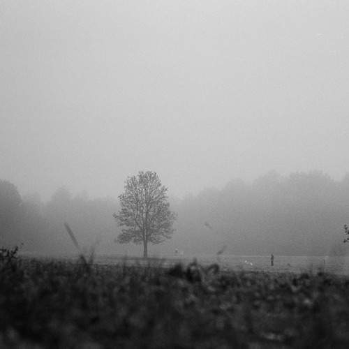 Photo #10624260