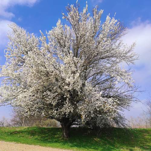 Photo #10624310