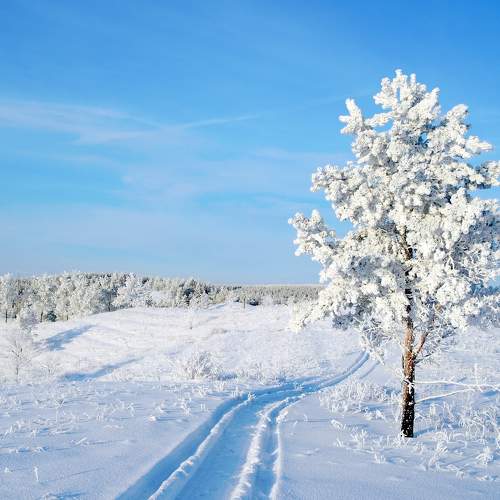 Photo #10624321