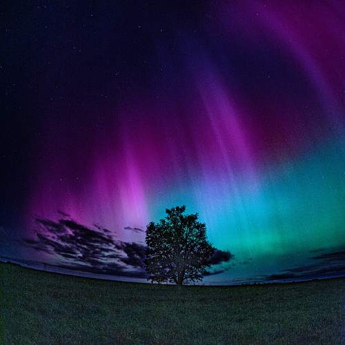 Photo #10624663