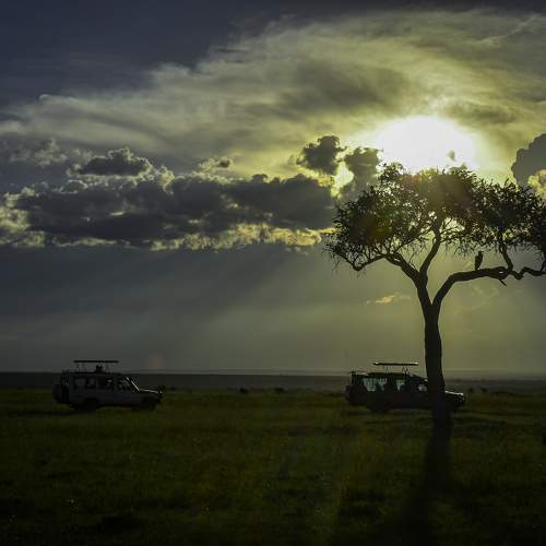 Photo #10624768