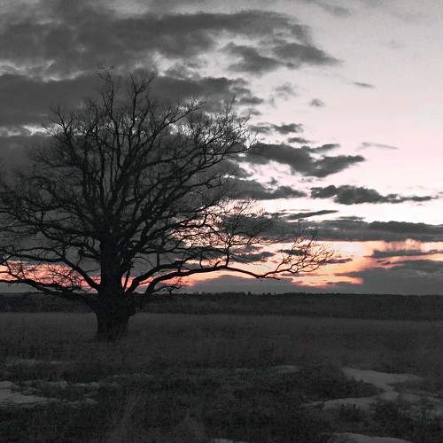 Photo #10624928