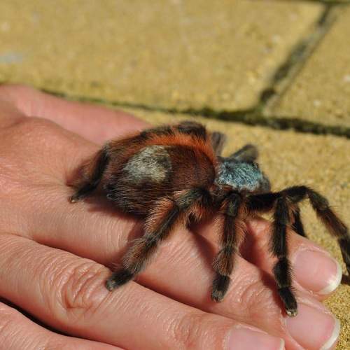 Photo #10624971