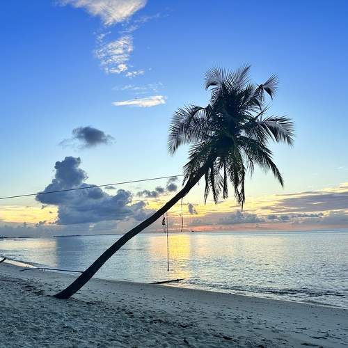 Photo #10625105