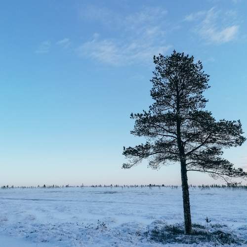 Photo #10625127