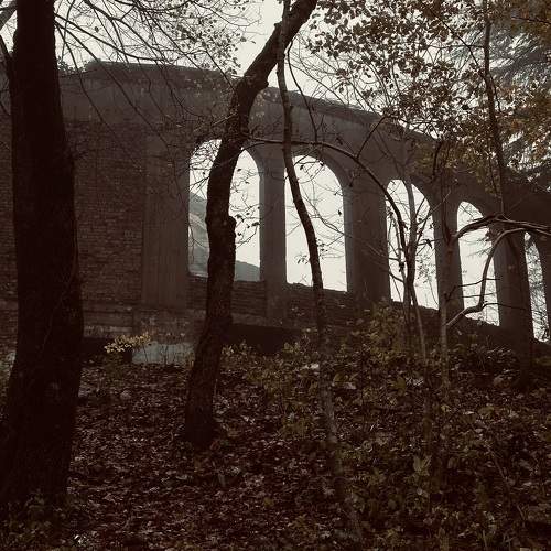 Photo #10625159