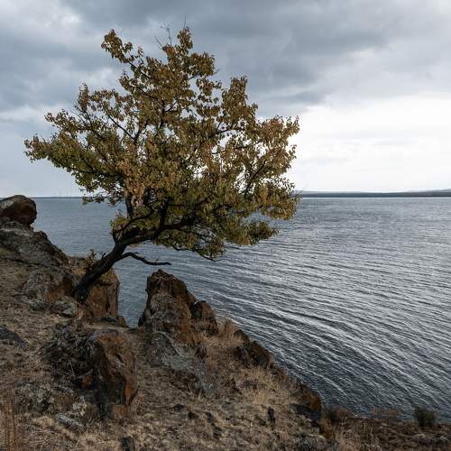 Photo #10625200