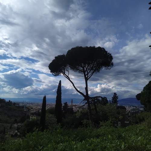Photo #10625218