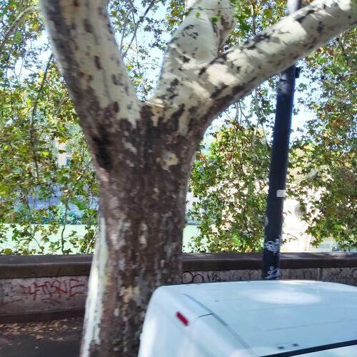 Photo #10625716