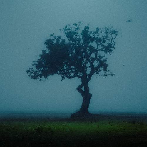 Desolation