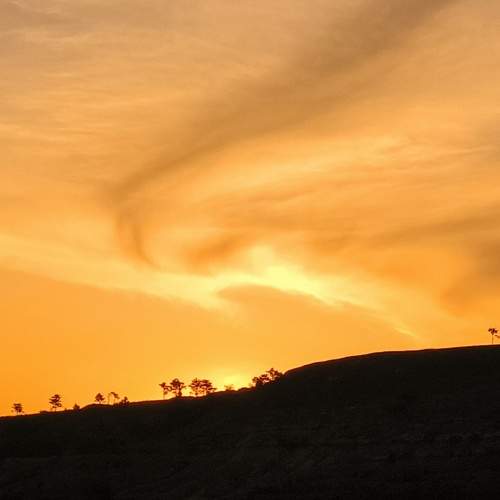 Photo #10626056