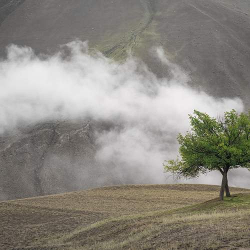 Photo #10626244