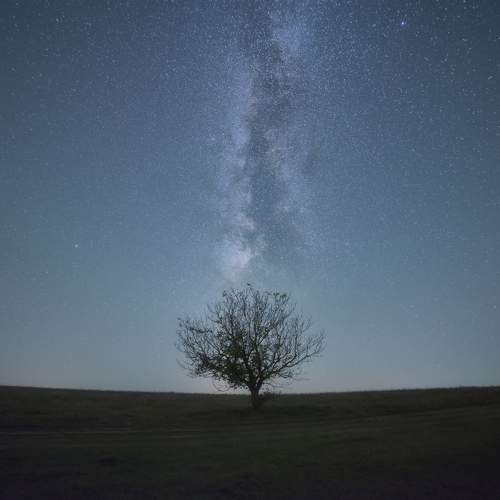 Photo #10626359