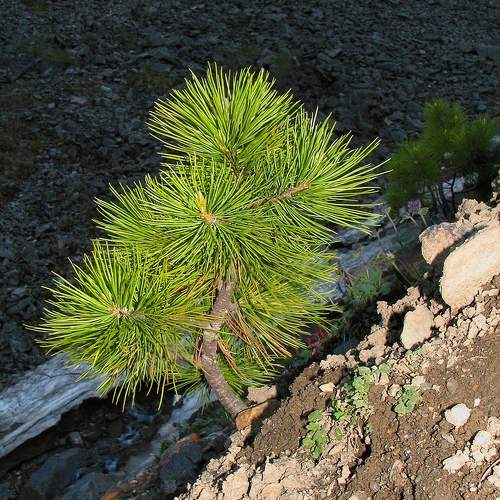 Photo #10626362